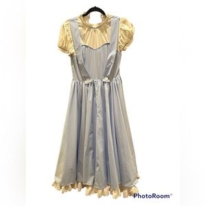Dorothy from Wizard of Oz Women’s Costume Size Small